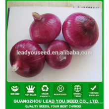 NON02 Хунцю ФП семена красного лука для продажи Китай овощных семян